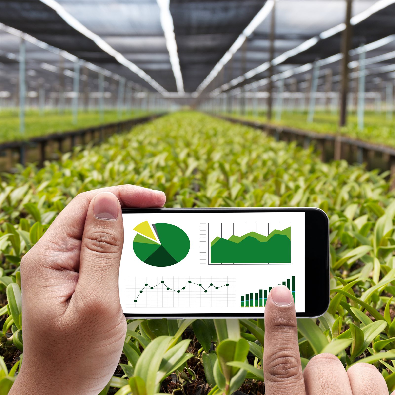 Técnico agrícola com tablet em meio à lavoura, com maquinário em operação ao fundo.